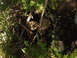 Camping Trip Sept. 2005 (1).JPG
